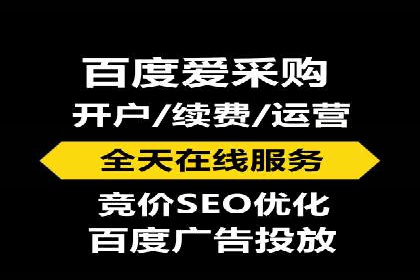 某知名品牌如何通过SEM服务提升转化率